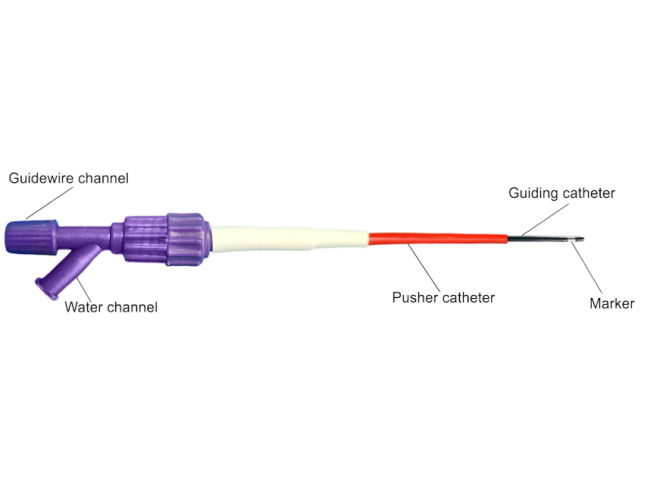 Biliary Plastic Stent Introducer Device