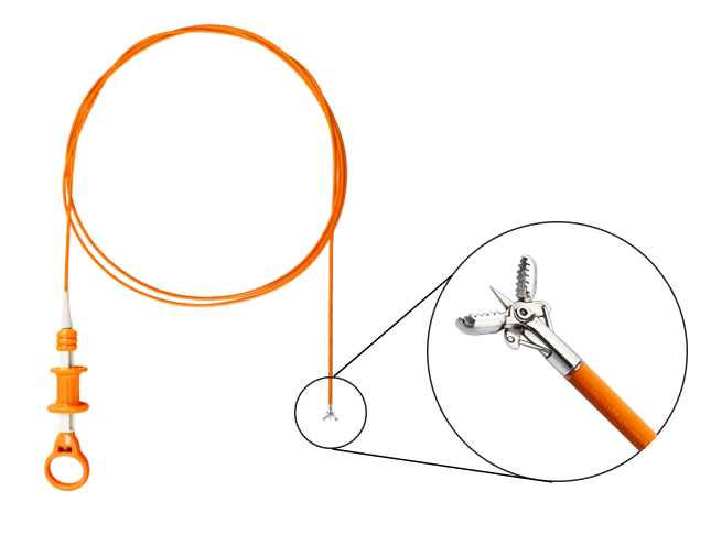 Endoscopic Biopsy Forceps &ndash; Super Jaw 4